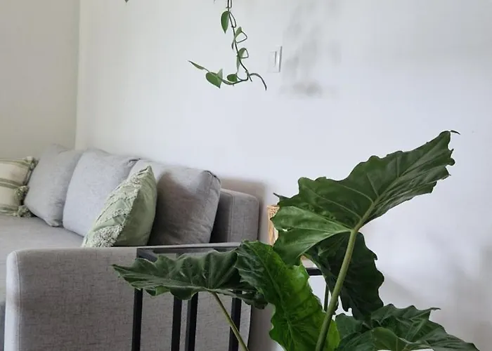 Bambusz Apartman